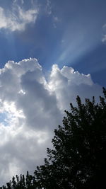 Low angle view of trees against cloudy sky