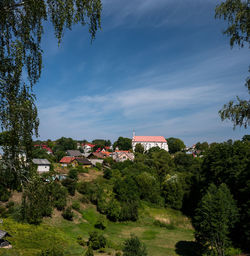 Trees and buildings against sky