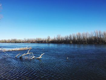 Scenic view of lake against clear blue sky