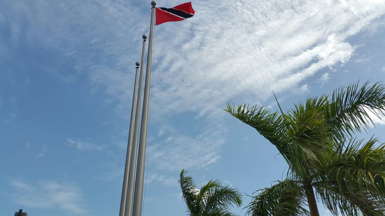 low angle view, sky, flag, tree, cloud - sky, patriotism, cloud, national flag, growth, identity, wind, blue, day, nature, palm tree, american flag, pole, outdoors, cloudy, no people