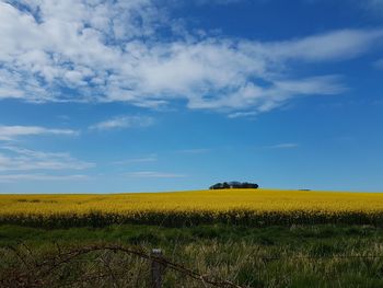 Scenic view of yellow field against sky