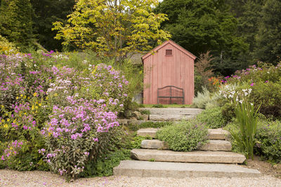 View of flowering plants in garden