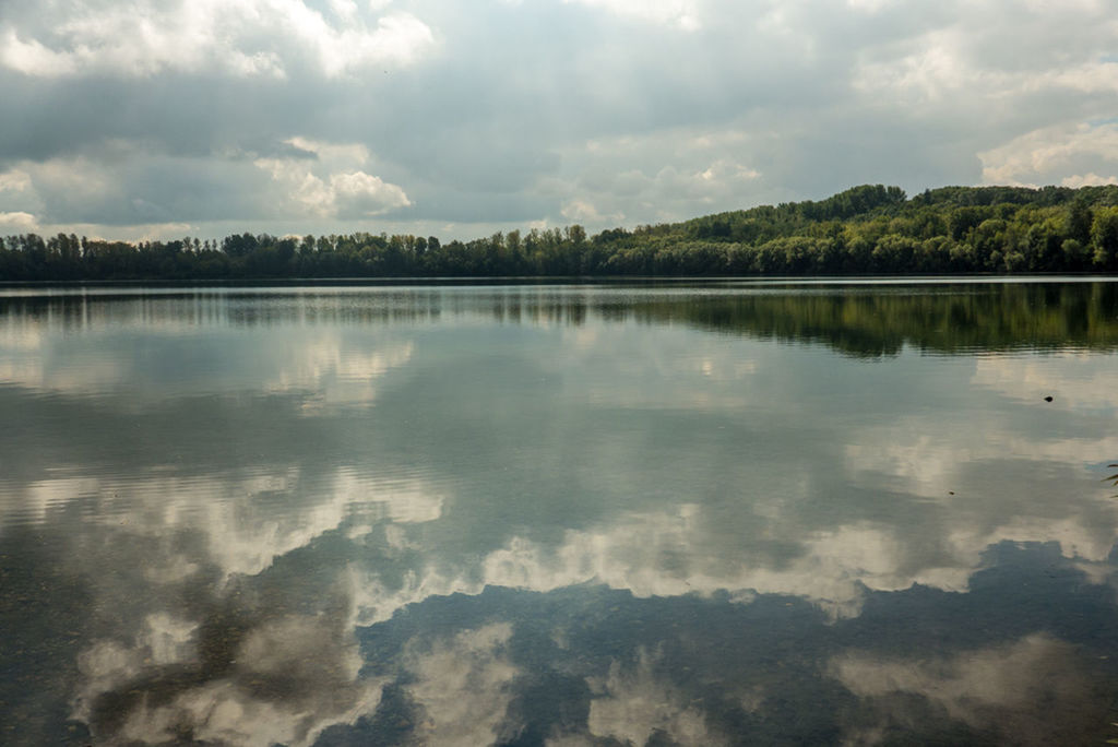 water, sky, cloud - sky, reflection, tranquil scene, lake, tranquility, scenics, cloudy, beauty in nature, tree, nature, cloud, waterfront, idyllic, standing water, weather, calm, non-urban scene, outdoors