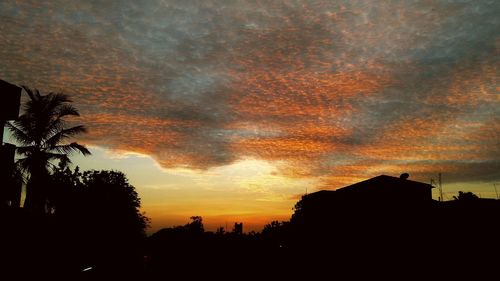 Silhouette trees against sky during sunset