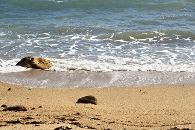 Scenic view of sea shore