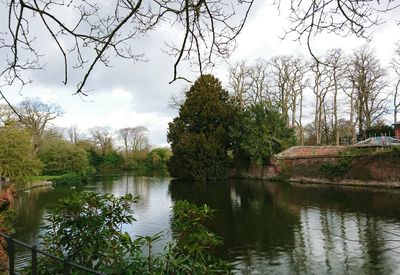 Reflection of trees in river