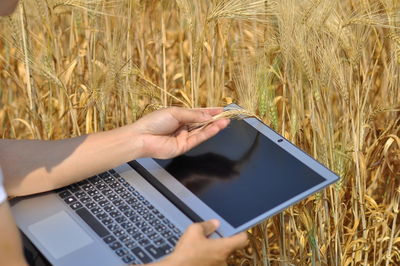 Midsection of person using mobile phone in field