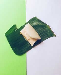 Close-up of leaf on table