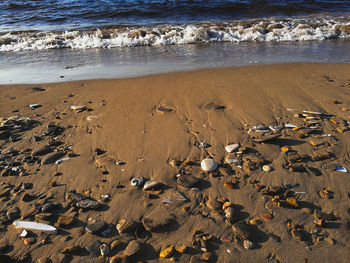 High angle view of beach