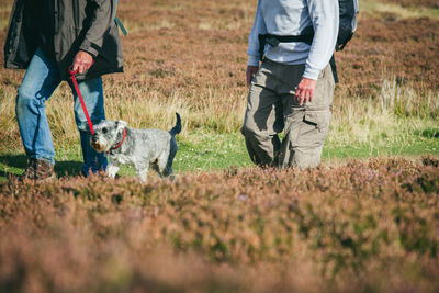 Low section of men with dog walking on grassland