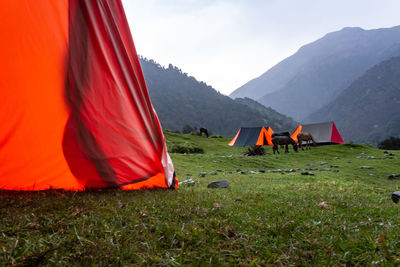 The meadow outside - namik glacier hike - september 2018.