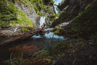 Scenic view of waterfall in forest