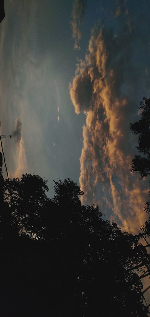 LOW ANGLE VIEW OF SILHOUETTE TREES AGAINST SKY