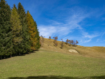 Autumn colors in the italian alps