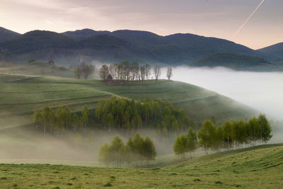 Scenic view of landscape and mountains against sky