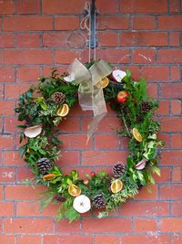 Ivy growing on brick wall