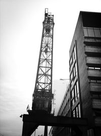 Low angle view of crane against sky