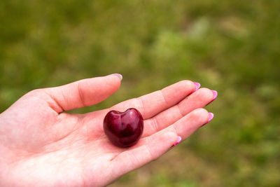 Close-up of hand holding strawberry