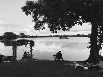 People sitting on tree