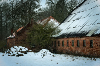 Trees on snow covered field by house