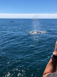 Midsection of man standing in sea