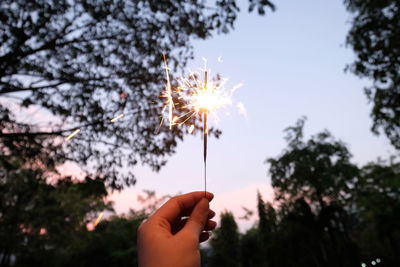 Cropped hand holding lit sparkler against trees during sunset