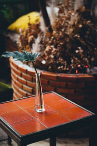 Close-up of wine glass on table