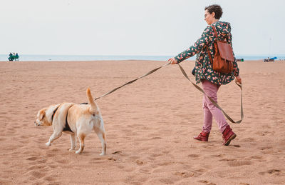 A girl and a fawn labrador retriever walk along a sandy beach to the sea in autumn. traveling 