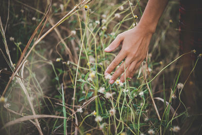 Close-up of hand touching grass on field