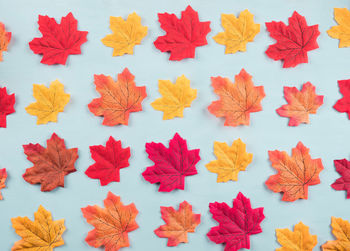 Full frame shot of red leaves over white background