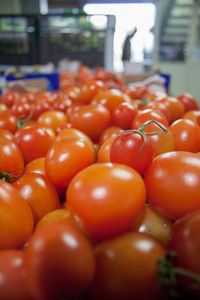 Close-up of fruits for sale at market stall