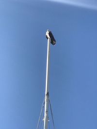 Low angle view of windmill against clear blue sky