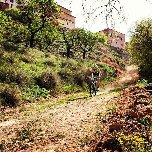 bicycle, transportation, men, land vehicle, lifestyles, riding, mode of transport, full length, leisure activity, architecture, tree, building exterior, walking, built structure, dirt road, rear view, cycling