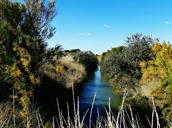 Scenic view of calm sea against sky