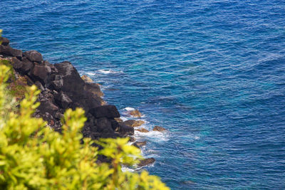 High angle view of rocks on beach