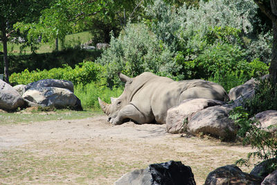 Toronto zoo,ontario,canada