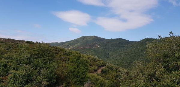 Scenic view of landscape against sky