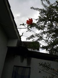 Low angle view of built structure against the sky