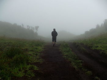 Rear view of man walking on field