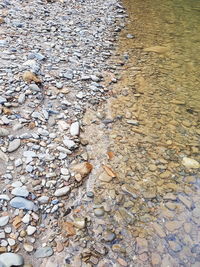 High angle view of birds on beach