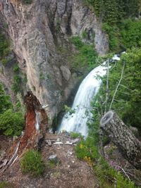 Scenic view of waterfall in forest