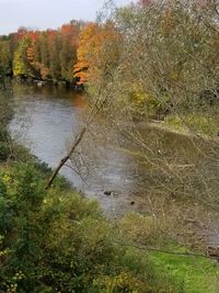 High angle view of river amidst trees in forest