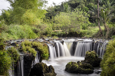 Scenic view of waterfall in forest