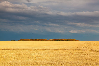 Scenic view of field against sky