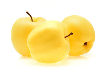 Close-up of oranges against white background