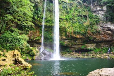 Scenic view of waterfall in forest