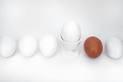 High angle view of eggs on white background