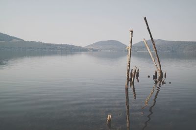 Wooden posts in lake against sky