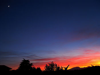 Silhouette trees against blue sky during sunset