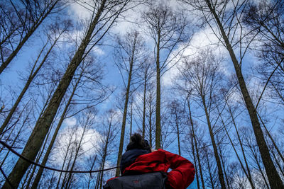 Low angle view of bare trees against sky during winter